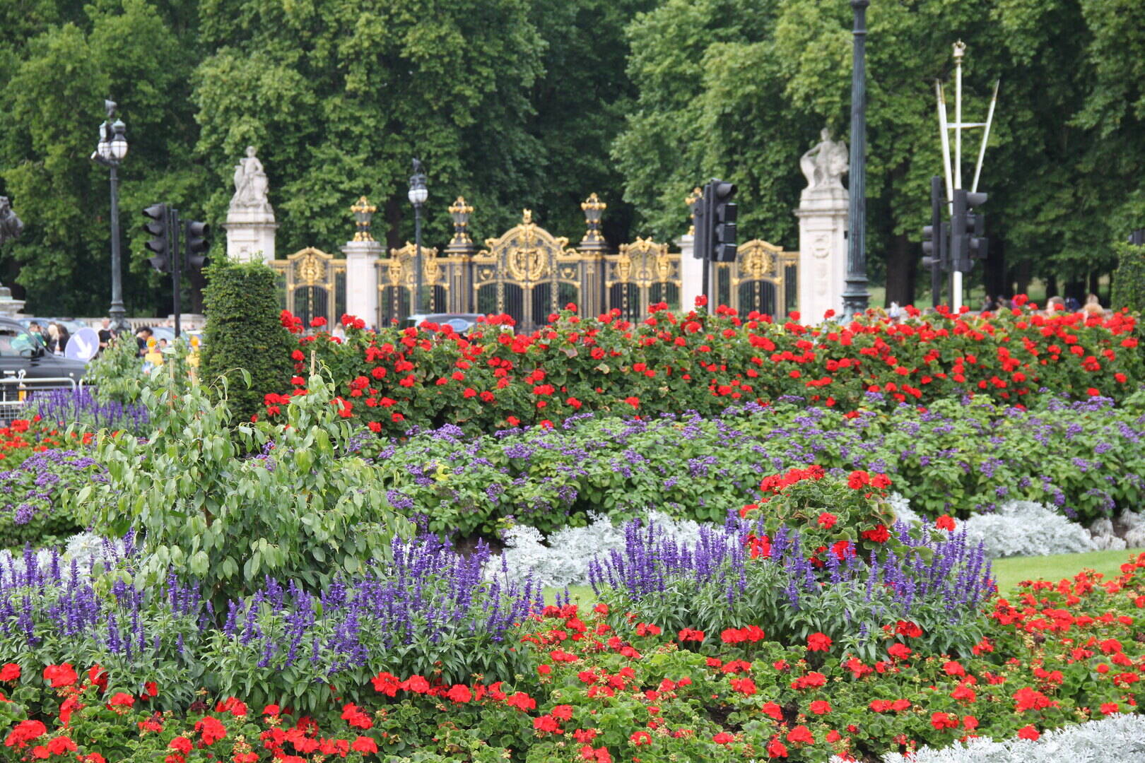 Palace Garden