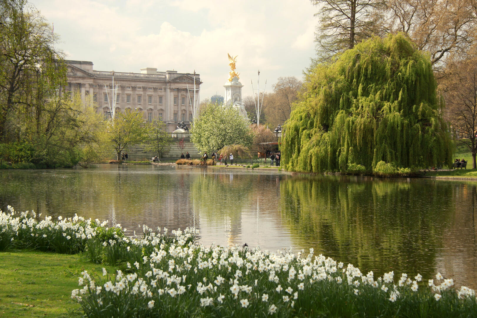 Path beside the lake in the Buckingham Palace Garden with lawns and trees